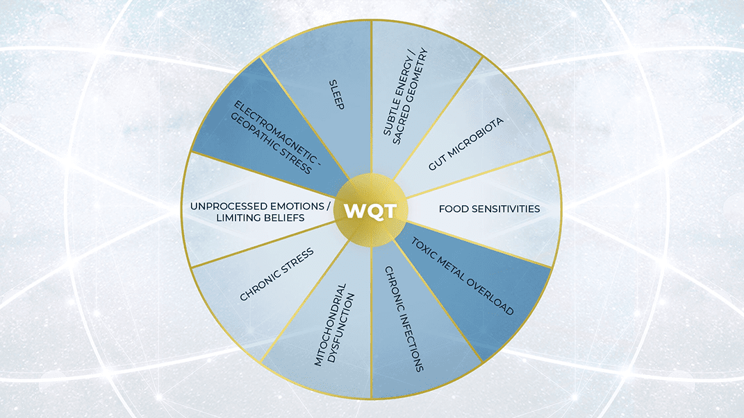 WQT infographic